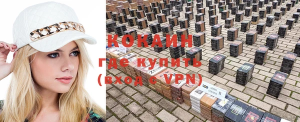 стаф Балахна