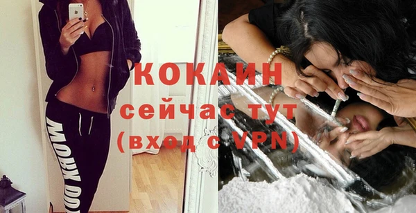 стаф Балахна