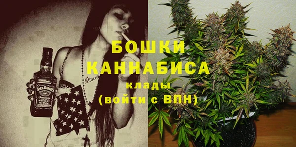 стаф Балахна