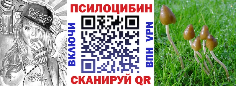Псилоцибиновые грибы Magic Shrooms что такое Грайворон